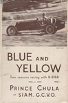 Book cover of Blue and Yellow