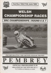 Programme cover of Pembrey Circuit, 11/06/1995