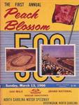 Programme cover of Rockingham Speedway (USA), 13/03/1966